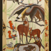 2023 WILD BRASIL acrilico su tela e tavola cm 65 x 100...................euro 1200